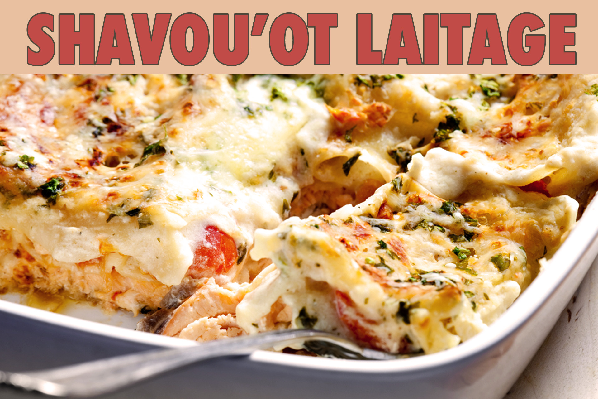 Lasagnes au saumon