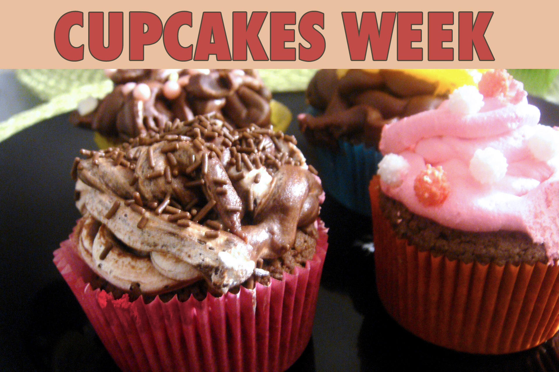 Cupcakes au chocolat